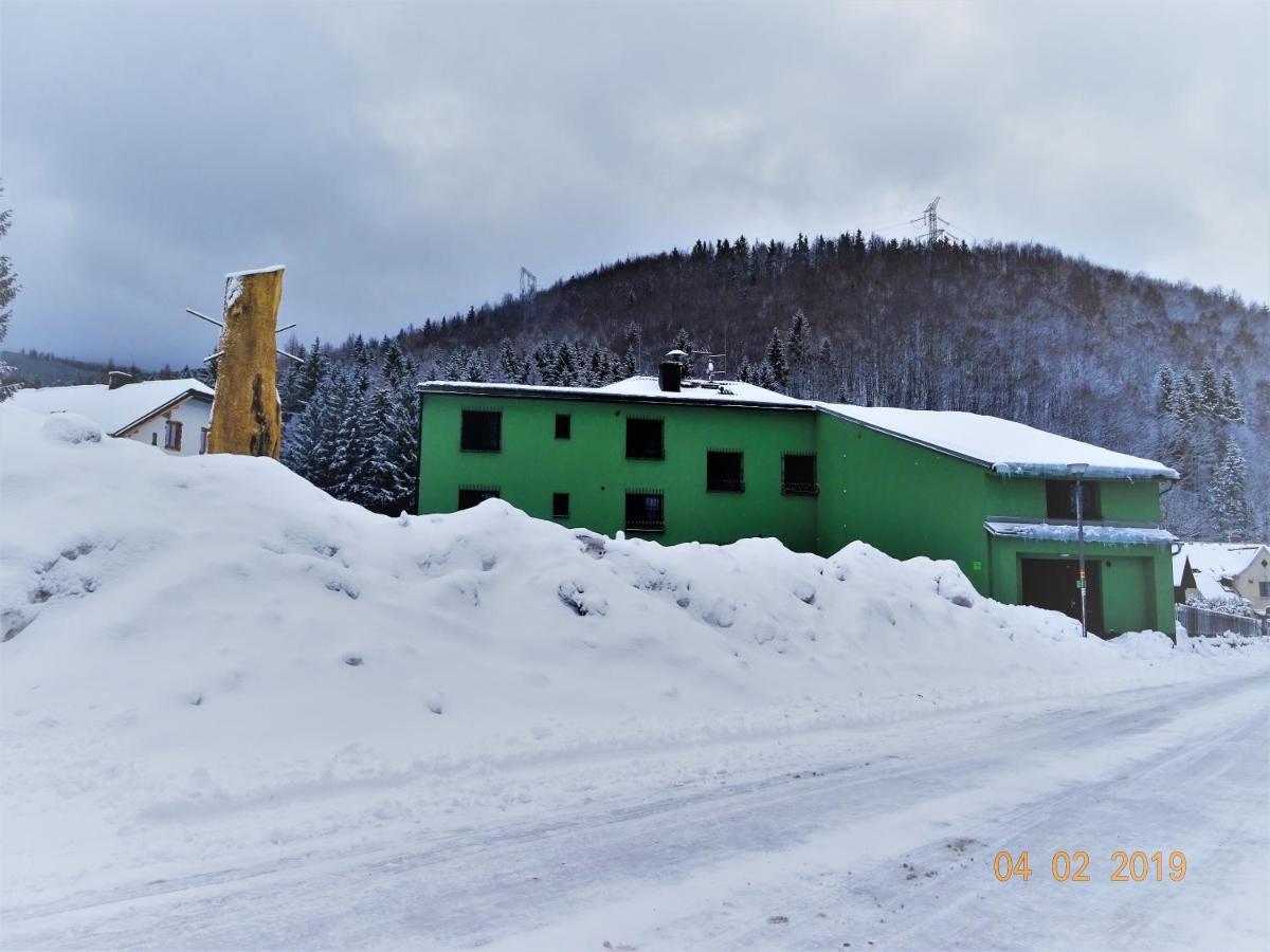 Apartmanovy Dum Pastak Loučná nad Desnou エクステリア 写真